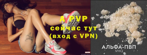 стаф Абдулино