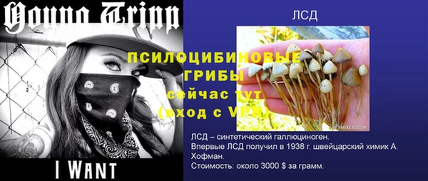 стаф Абдулино
