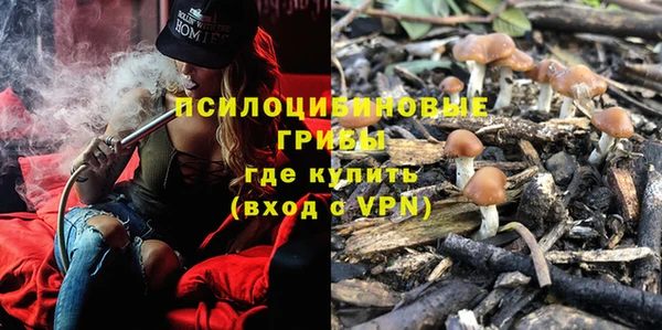амф Абинск