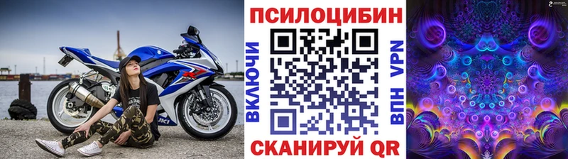 где можно купить   Инза  Галлюциногенные грибы GOLDEN TEACHER 